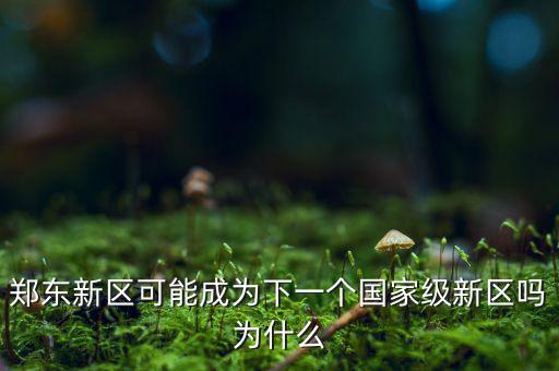 鄭東新區(qū)可能成為下一個(gè)國家級(jí)新區(qū)嗎為什么