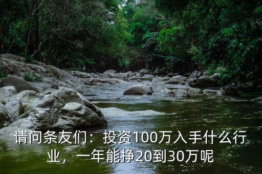 請問條友們：投資100萬入手什么行業(yè)，一年能掙20到30萬呢