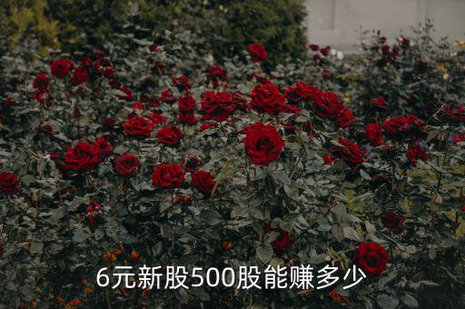 6元新股500股能賺多少