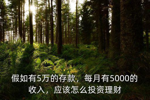 假如有5萬的存款，每月有5000的收入，應(yīng)該怎么投資理財