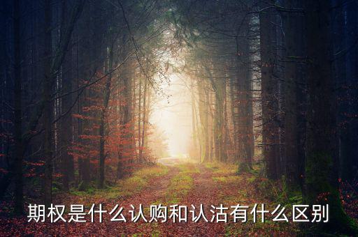 認沽期權是什么意思,認沽期權和認購期權