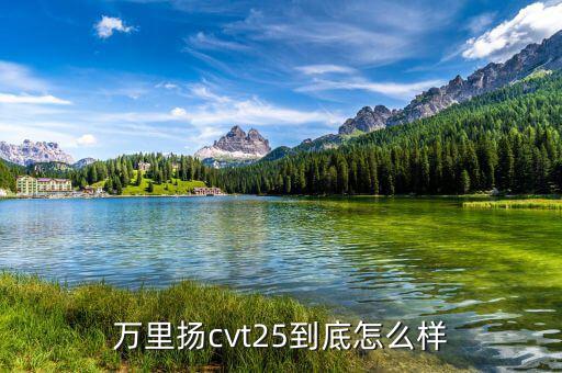 萬里揚待遇怎么樣,萬里揚cvt25到底怎么樣