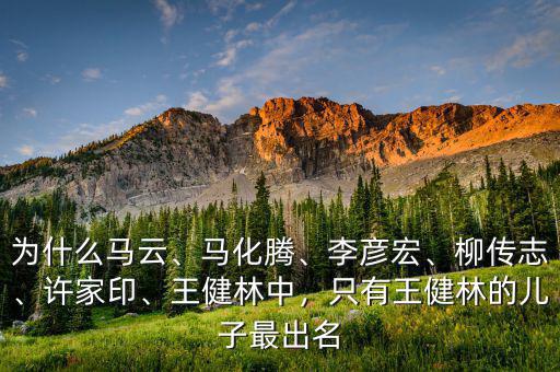 為什么馬云、馬化騰、李彥宏、柳傳志、許家印、王健林中，只有王健林的兒子最出名