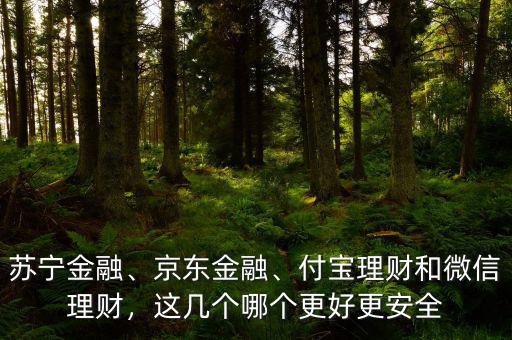 蘇寧金融、京東金融、付寶理財和微信理財，這幾個哪個更好更安全