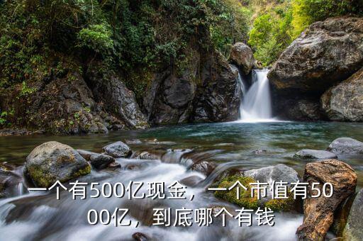 一個有500億現(xiàn)金，一個市值有5000億，到底哪個有錢