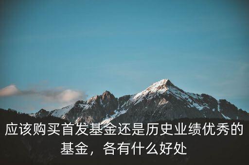 應(yīng)該購(gòu)買(mǎi)首發(fā)基金還是歷史業(yè)績(jī)優(yōu)秀的基金，各有什么好處