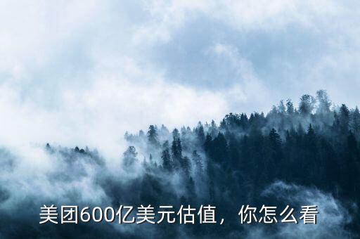 美團(tuán)600億美元估值，你怎么看