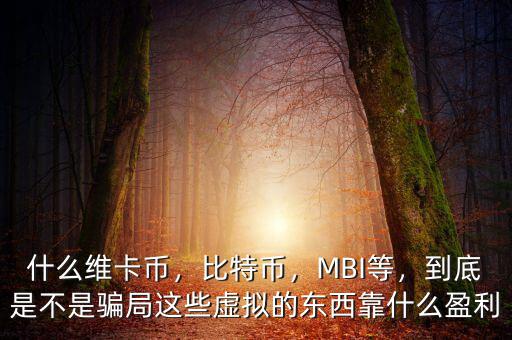 什么維卡幣，比特幣，MBI等，到底是不是騙局這些虛擬的東西靠什么盈利