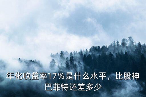 巴菲特的基金年收益率多少,年化收益率17％是什么水平