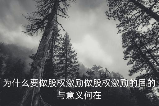 為什么要做股權(quán)激勵做股權(quán)激勵的目的與意義何在