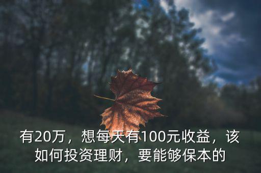 有20萬，想每天有100元收益，該如何投資理財，要能夠保本的