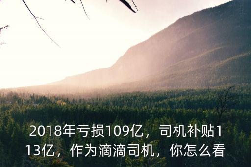 2018年虧損109億，司機補貼113億，作為滴滴司機，你怎么看