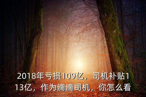 2018年虧損109億，司機(jī)補(bǔ)貼113億，作為滴滴司機(jī)，你怎么看