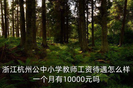 浙江杭州公中小學(xué)教師工資待遇怎么樣一個(gè)月有10000元嗎