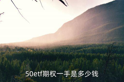 50etf期權(quán)一手是多少錢