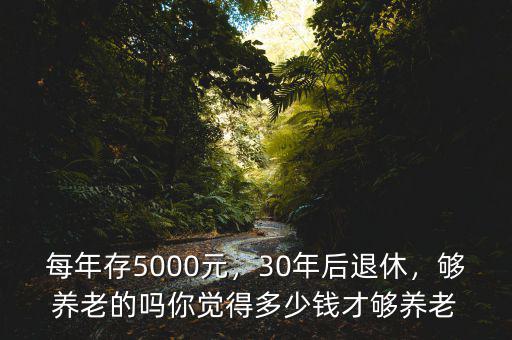 每年存5000元，30年后退休，夠養(yǎng)老的嗎你覺得多少錢才夠養(yǎng)老