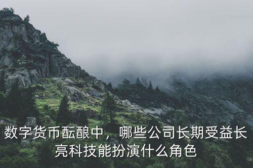 長(zhǎng)亮科技公司怎么樣,哪些公司長(zhǎng)期受益