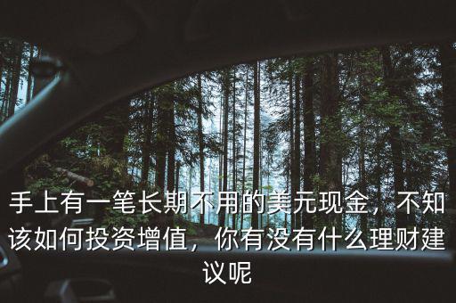 手上有一筆長期不用的美元現(xiàn)金，不知該如何投資增值，你有沒有什么理財建議呢