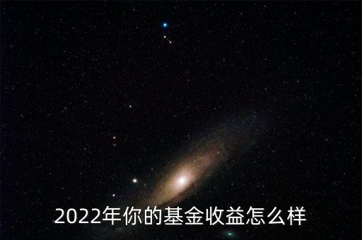 2022年你的基金收益怎么樣