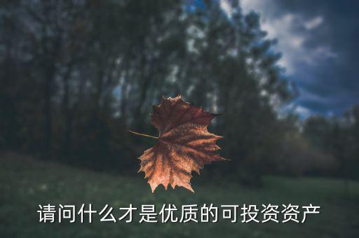 請(qǐng)問什么才是優(yōu)質(zhì)的可投資資產(chǎn)