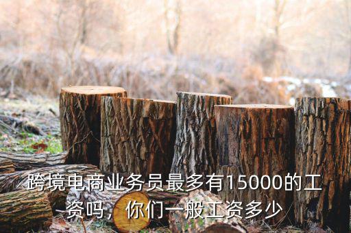 跨境電商業(yè)務(wù)員最多有15000的工資嗎，你們一般工資多少