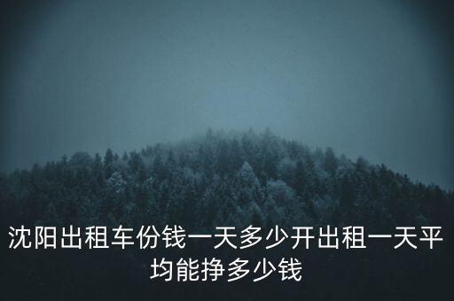 沈陽(yáng)出租車司機(jī)一天能掙多少錢,出租車司機(jī)一天能掙多少錢