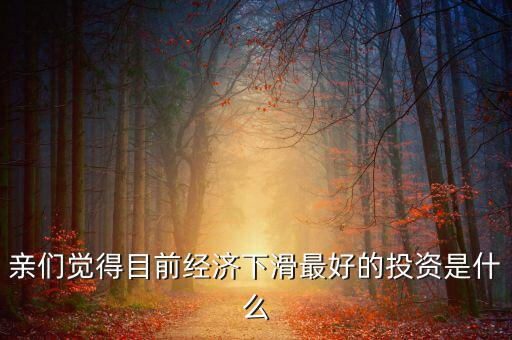 親們覺得目前經(jīng)濟(jì)下滑最好的投資是什么