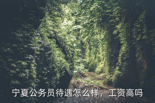 寧夏公務(wù)員待遇怎么樣，工資高嗎