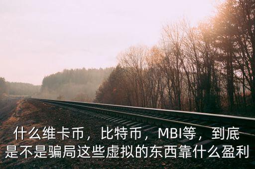 什么維卡幣，比特幣，MBI等，到底是不是騙局這些虛擬的東西靠什么盈利