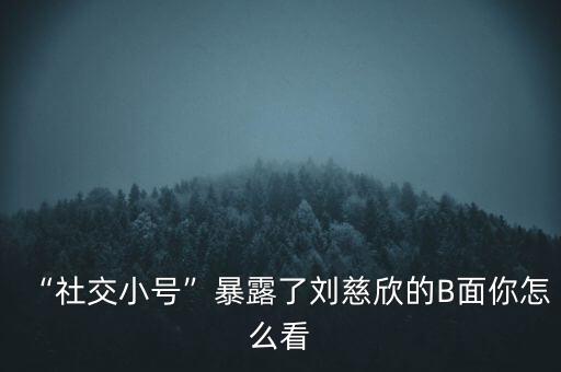 “社交小號(hào)”暴露了劉慈欣的B面你怎么看