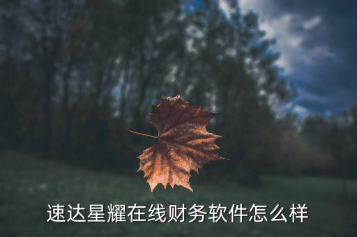 網(wǎng)達(dá)軟件怎么樣,速達(dá)星耀在線財務(wù)軟件怎么樣