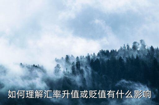 匯率受什么影響,匯率是由什么決定的