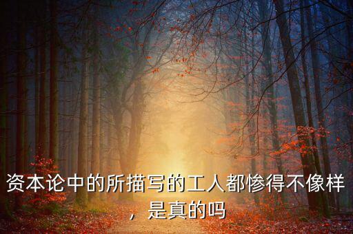 資本論是什么發(fā)表的,《資本論》是一本什么樣的書(shū)