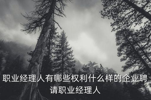 職業(yè)經(jīng)理人有哪些權(quán)利什么樣的企業(yè)聘請(qǐng)職業(yè)經(jīng)理人