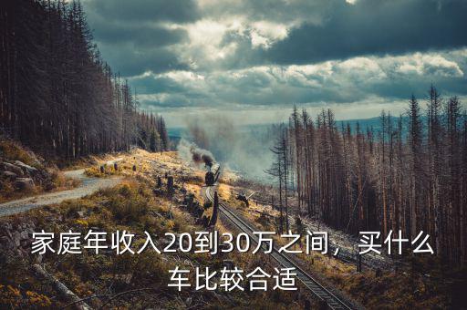 家庭年收入25萬買什么車,家庭年收入20到30萬之間