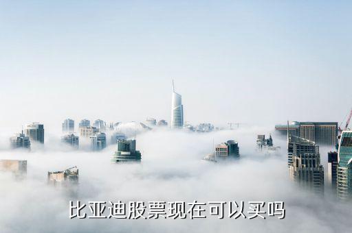 比亞迪股票怎么樣,比亞迪為何股價(jià)大跌