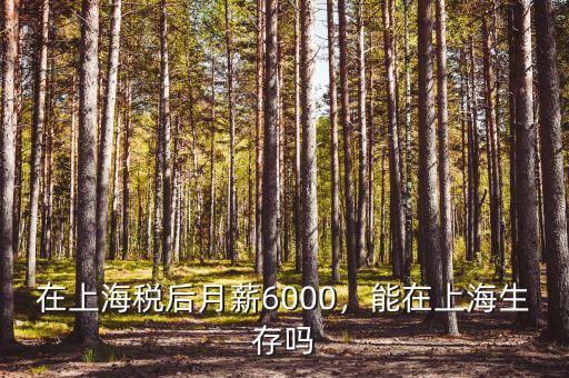 在上海稅后月薪6000，能在上海生存嗎