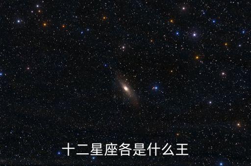 十二星座各是什么王