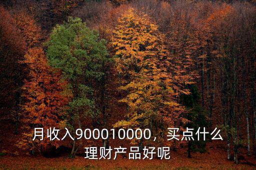 月收入9000怎么理財(cái),稅后月收入9000怎么理財(cái)