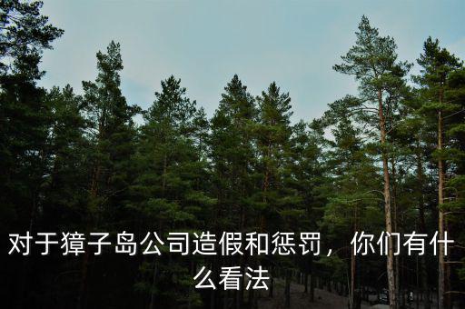 對(duì)于獐子島公司造假和懲罰，你們有什么看法