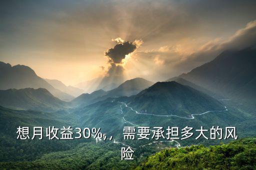 想月收益30%,，需要承擔多大的風險