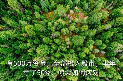 有500萬(wàn)資金，全部投入股市，半年虧了50%，你會(huì)如何應(yīng)對(duì)