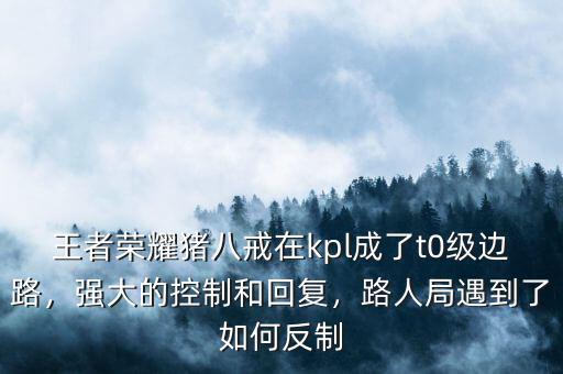 王者榮耀豬八戒在kpl成了t0級(jí)邊路，強(qiáng)大的控制和回復(fù)，路人局遇到了如何反制