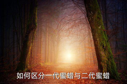 如何區(qū)分一代蜜蠟與二代蜜蠟