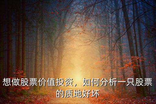 股票質(zhì)地是什么意思,說的是什么意思