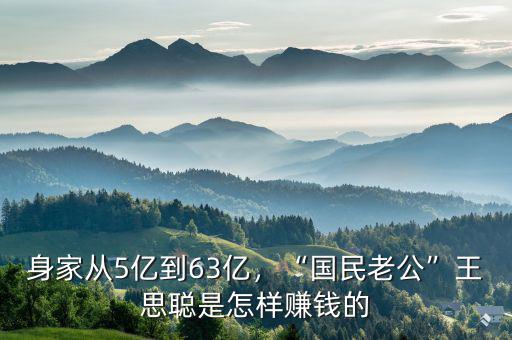 身家從5億到63億，“國(guó)民老公”王思聰是怎樣賺錢的