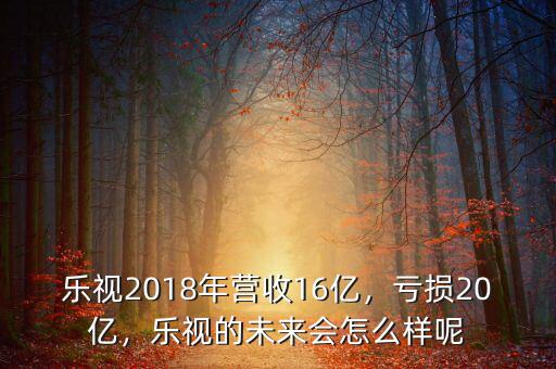 樂視2018年?duì)I收16億，虧損20億，樂視的未來會(huì)怎么樣呢