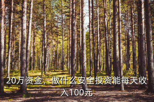 20萬資金，做什么安全投資能每天收入100元