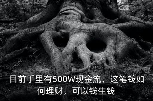 目前手里有500W現(xiàn)金流，這筆錢如何理財，可以錢生錢