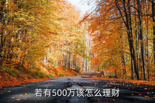 若有500萬該怎么理財